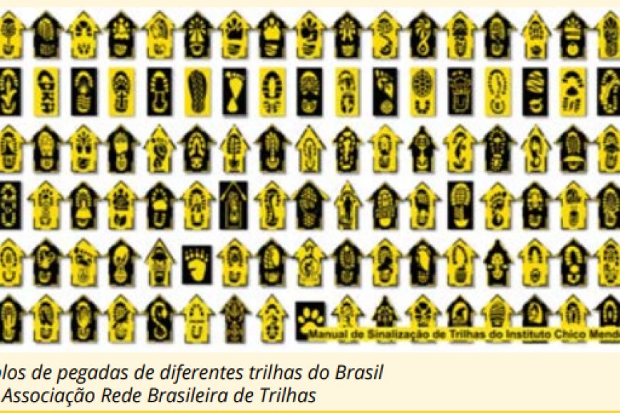 Conheça trilhas brasileiras que são perfeitas para quem é fã do cicloturismo