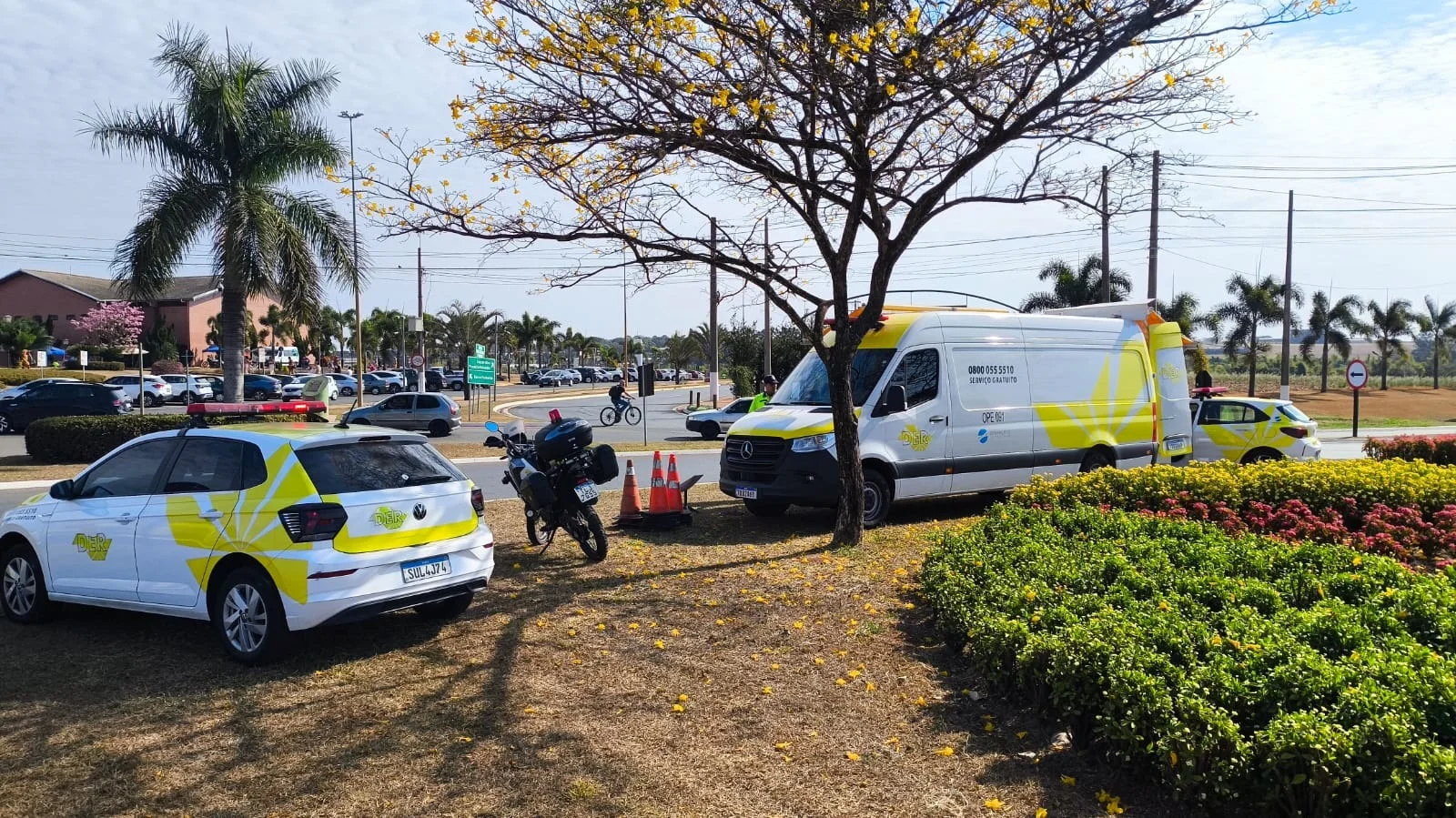 43ª Expoflora, em Holambra: veja como será a operação do DER-SP nas rodovias