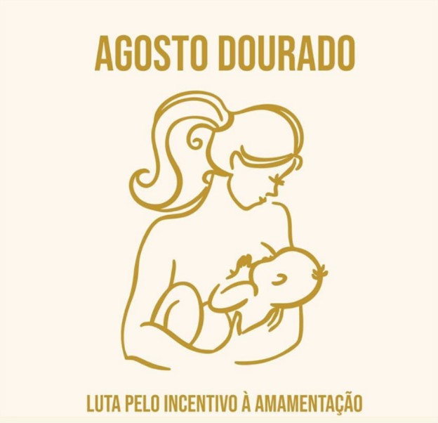 Agosto Dourado: Comissão do Senado promove audiência pública sobre o tema 8