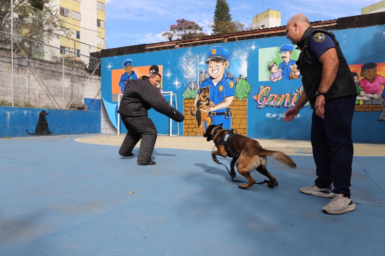 Cães da GCM de Diadema entram em fase final de treinamento 26
