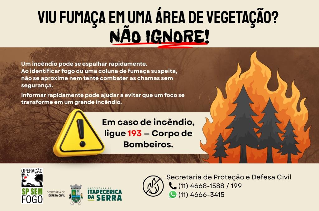 Defesa Civil alerta para os riscos de incêndios em áreas de vegetação