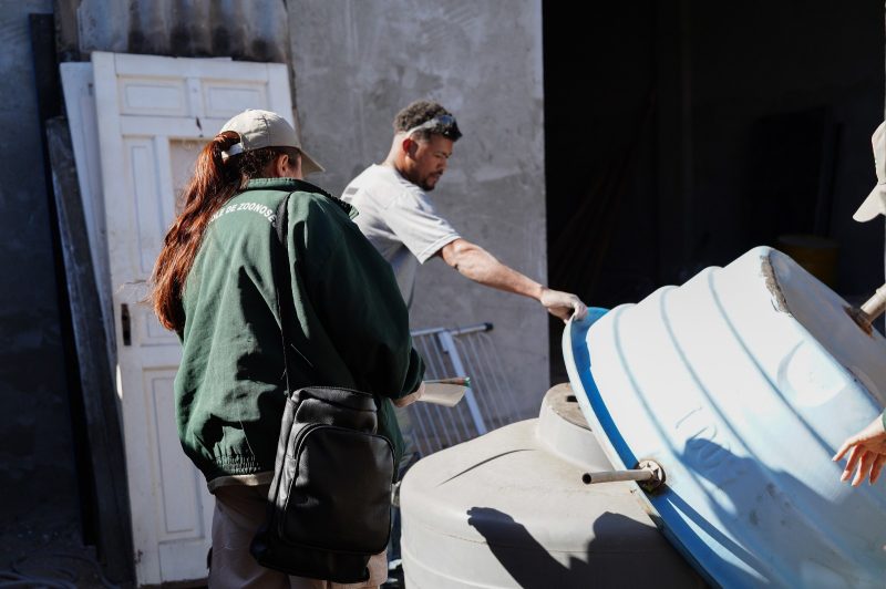 Guarulhos intensifica combate à dengue e realiza ações em 36 bairros 1