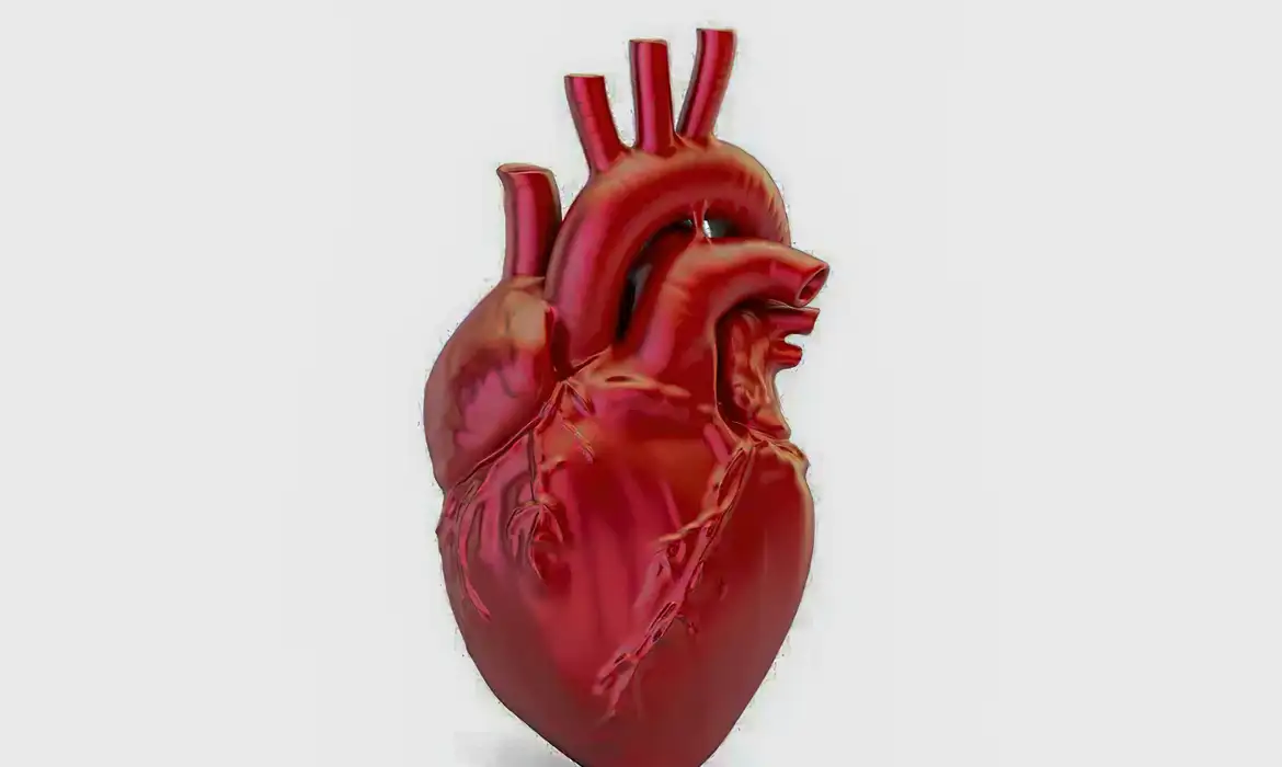 Nova diretriz atualiza definição de infarto e muda critérios para diagnóstico 3