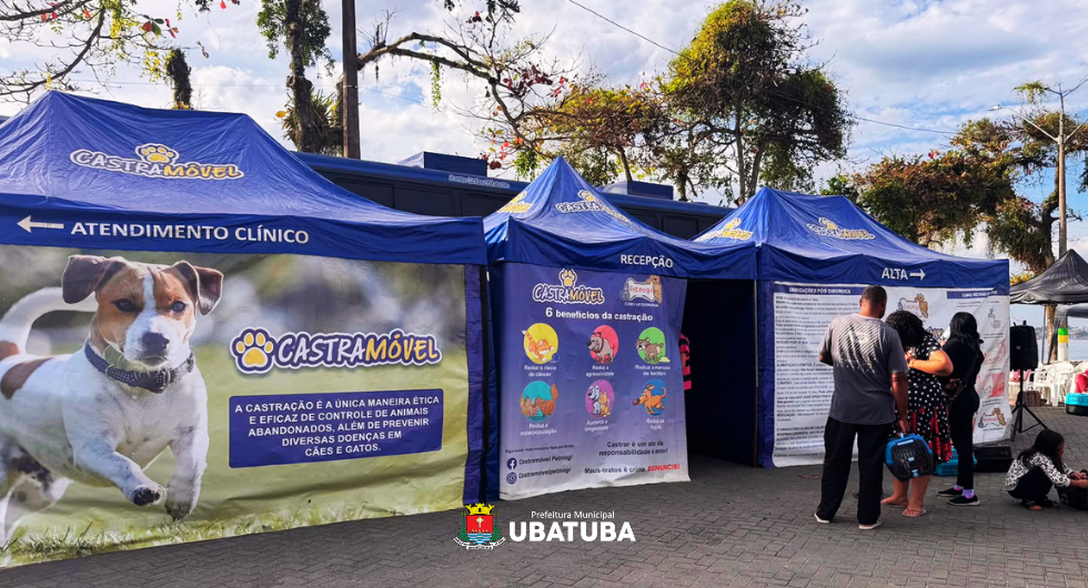 Saúde animal: Mutirão realiza 318 castrações em Ubatuba – Prefeitura Municipal de Ubatuba 4