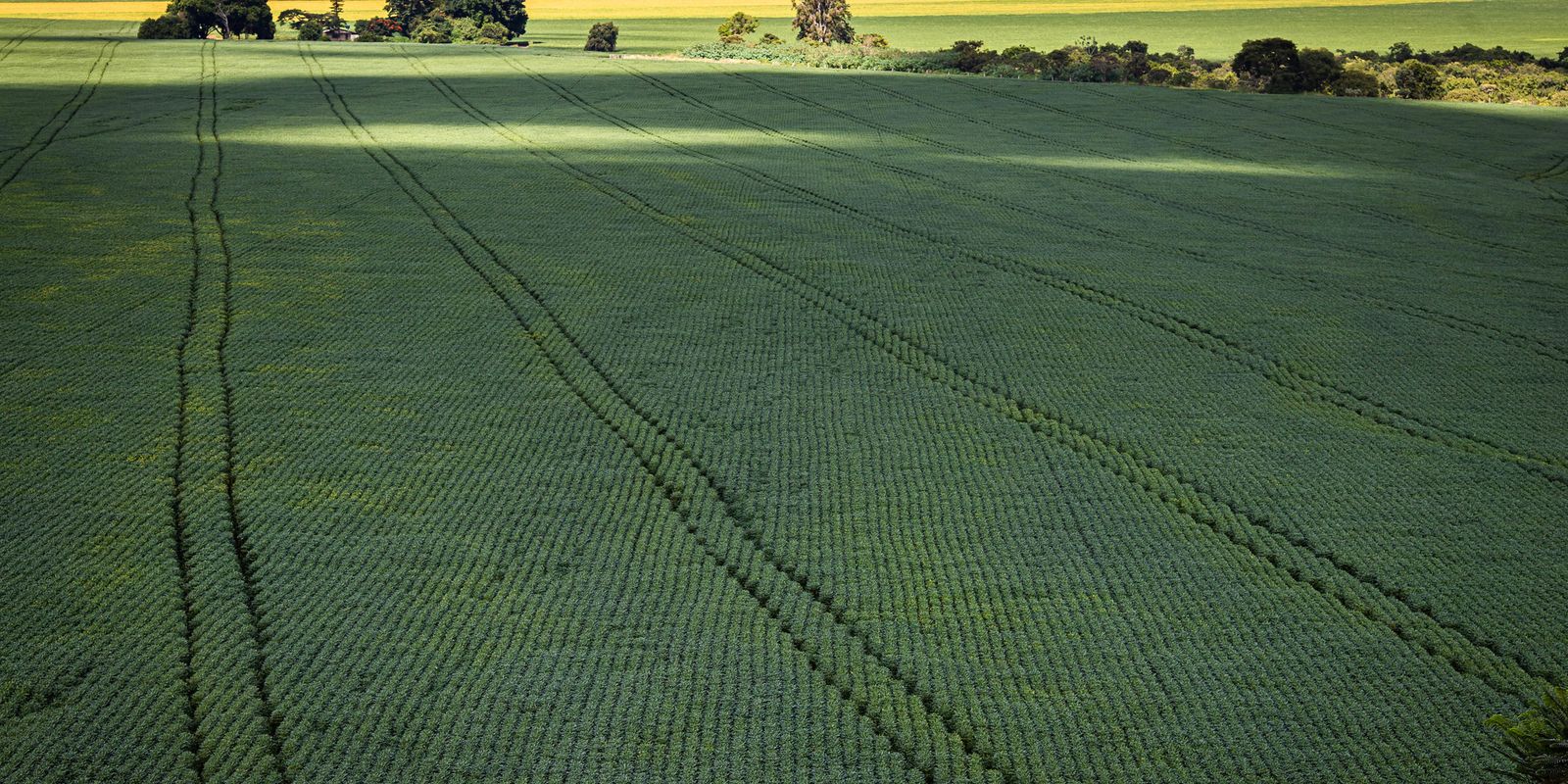 Senado aprova plano para fabricação de fertilizantes no Brasil 11