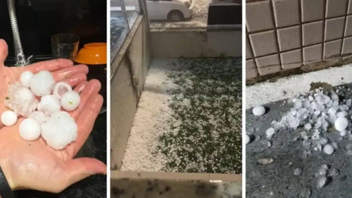TEMPORAL DEVASTADOR: granizo danifica 200 casas e município de SC decreta emergência – Terra Brasil Notícias 1