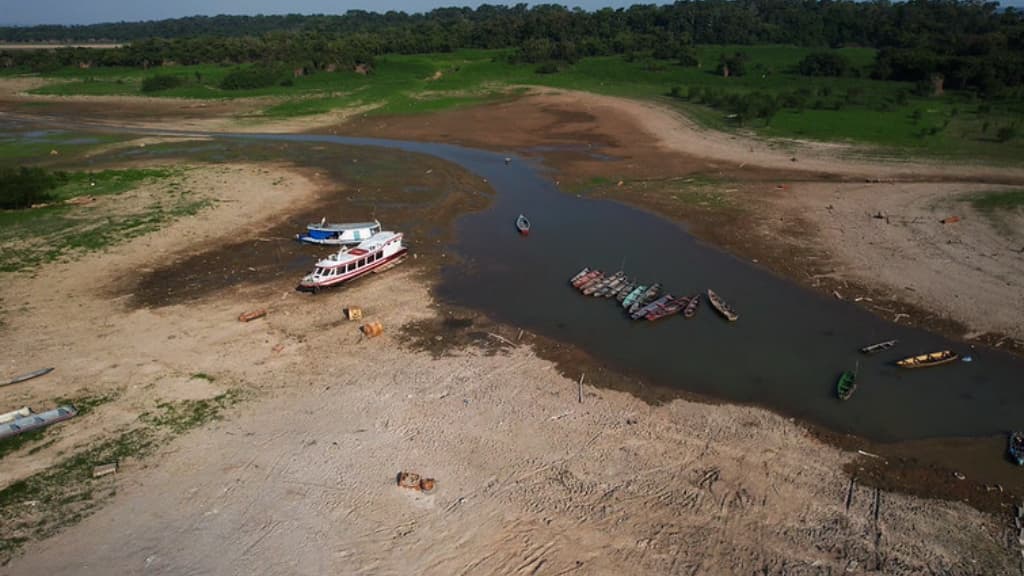 Tribunais de Contas passam a contar com diretrizes para fiscalizar a agenda climática | Transparência Internacional 11