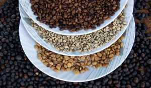 O futuro do café: 5 caminhos que vão marcar a próxima década 1