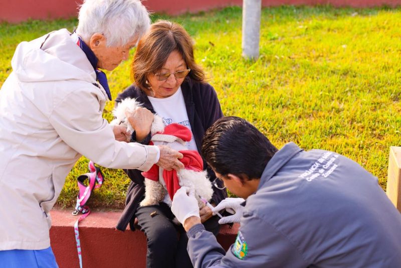 Vacinação antirrábica itinerante atenderá pets em Guararema 3