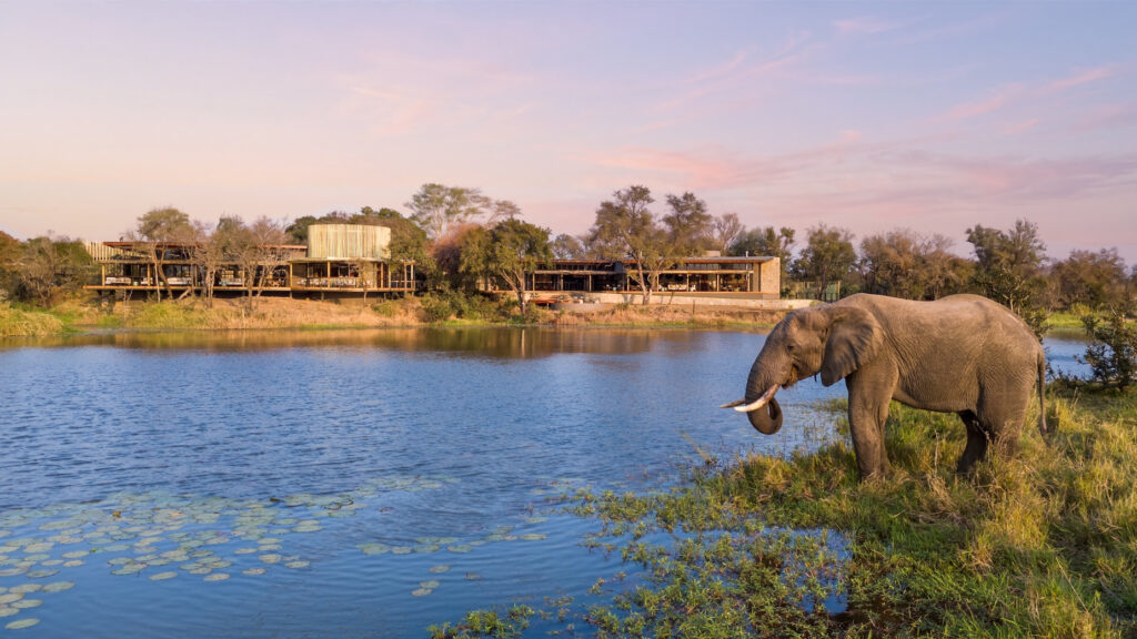 sabi sabi