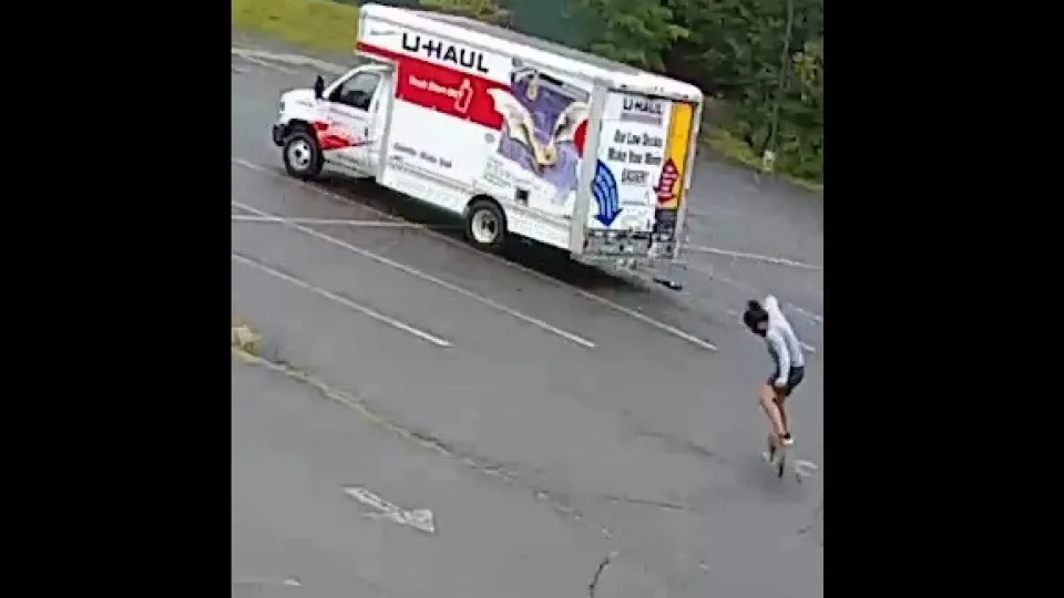 Animal misterioso faz 3 vítimas e aterroriza bairro nos EUA; vídeo 1