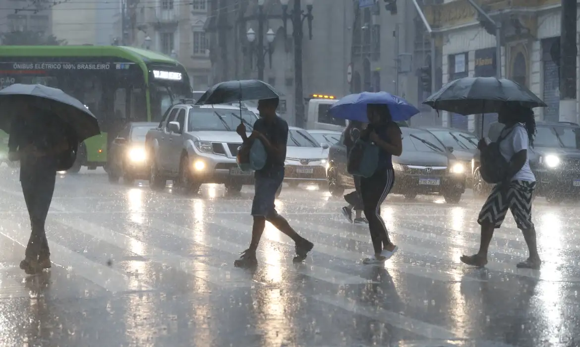 Chuva derruba 28 árvores em SP; 31 mil estão sem luz 1