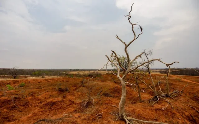 Como o El Niño vai afetar o oeste do Nordeste 4