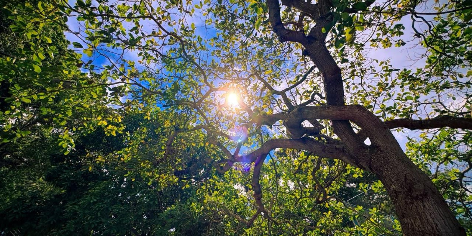 Concurso de fotografia “Olhares Sustentáveis – Sesc 80 Anos” premia colaboradores no Sesc Amapá 1