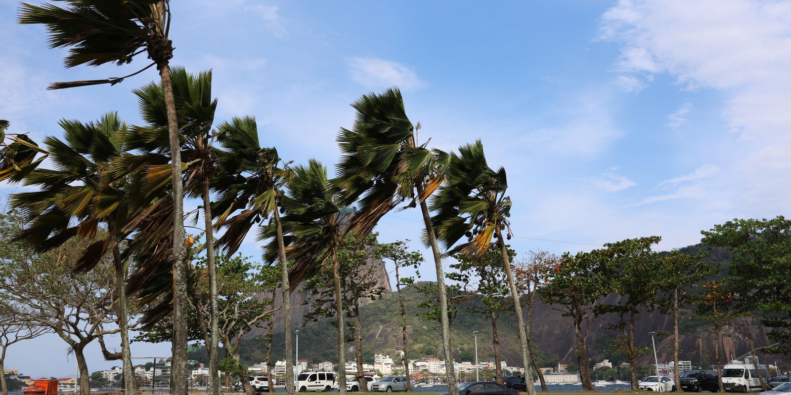 Defesa Civil alerta para ventos fortes na cidade do Rio 1
