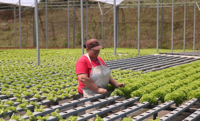 Dia do Campo Limpo reúne agricultores para devolução de embalagens de agrotóxicos