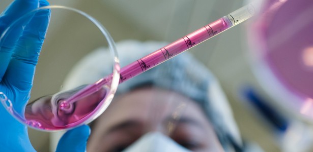 FAPESP anuncia cinco novos CEPIDs 22