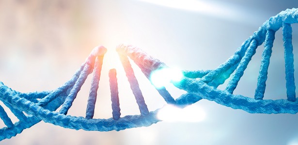 Falha no reparo do DNA materno compromete desenvolvimento embrionário e gera mutações pós-fecundação 3