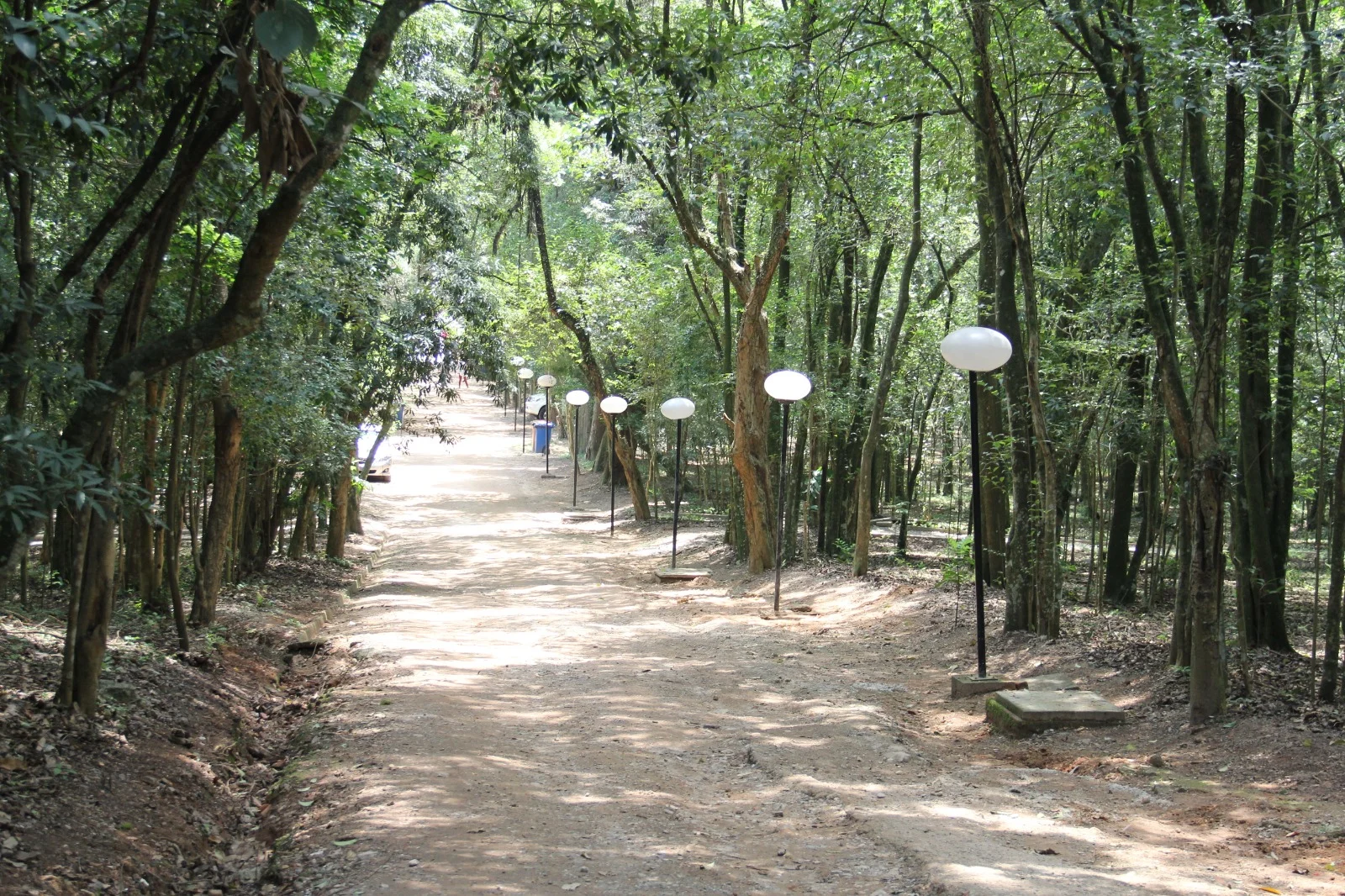 Parques Urbanos de SP têm programação especial de educação ambiental no feriado de 7 de Setembro