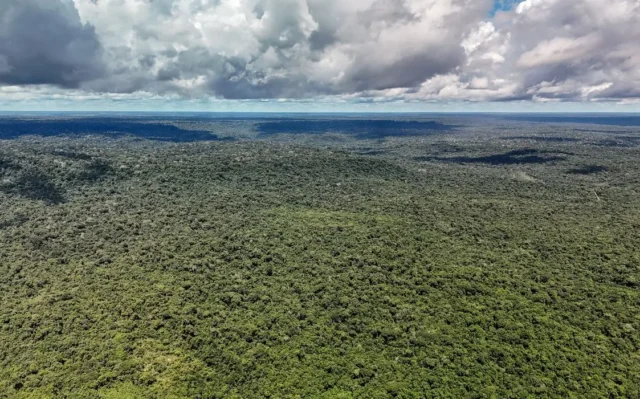 Rastreabilidade na Amazônia: entre o legal e o ilegal 1