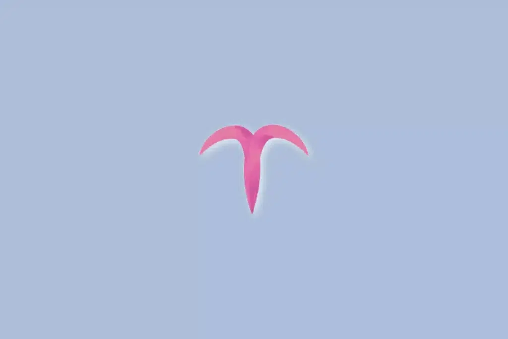 Tarot do dia: previsão para os 12 signos em 05/09/2026 1