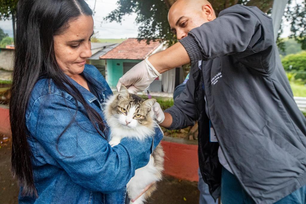 Prefeitura de Guararema realiza vacinação antirrábica em quatro bairros em setembro 1