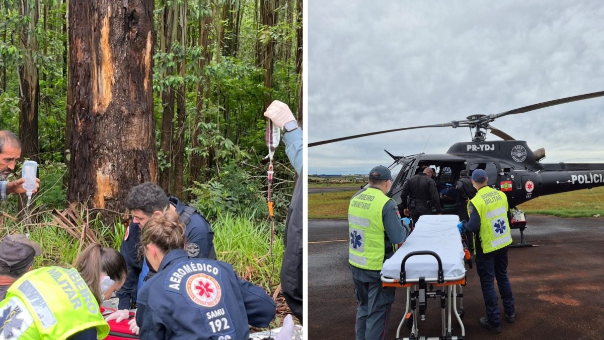 Árvore cai sobre trabalhador de 23 anos que é lançado na estrada e atropelado por caminhão em SC 5