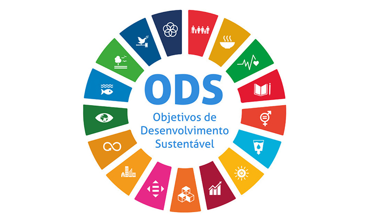 Conheça as ações de sustentabilidade das escolas de Itanhaém que foram premiadas na ODS 2026 1