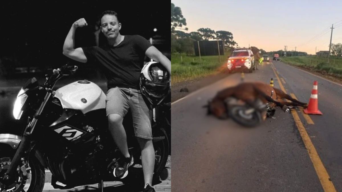 Empresário de 23 anos morre em acidente de moto após cavalo invadir rodovia em SC 4