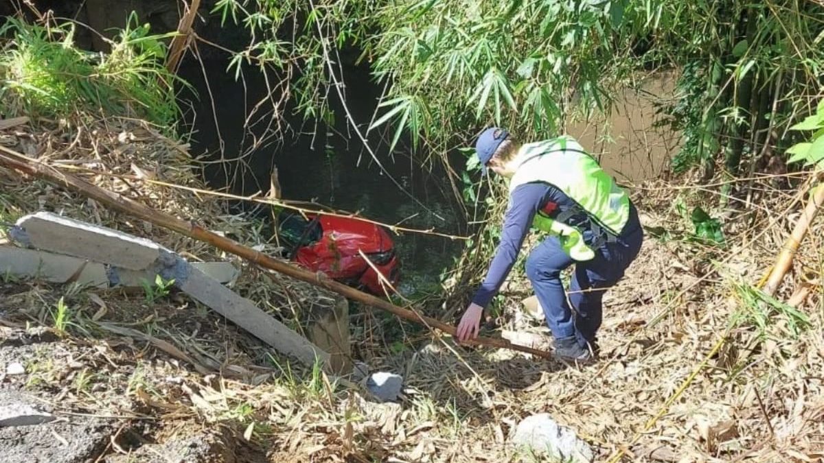 FOTOS: Idoso passa mal, perde controle e carro cai de ribanceira de 10 metros em Blumenau 3