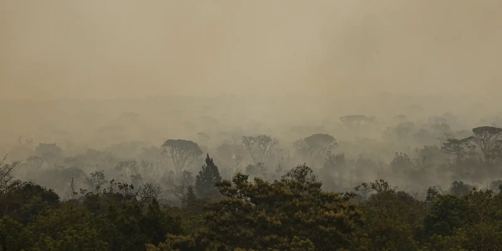 Força Nacional do SUS apoia atendimentos no Amazonas após incêndios 3