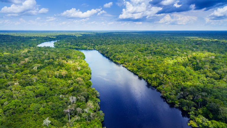 INPE receberá apoio do Fundo Amazônia para aprimorar monitoramento ambiental — Instituto Nacional de Pesquisas Espaciais 1
