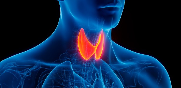 Inteligência artificial prevê risco de complicação após cirurgia de tireoide 6
