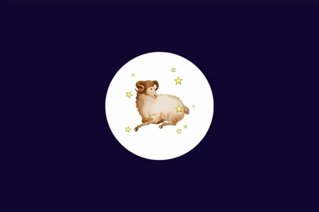 Tarot do dia: previsão para os 12 signos em 25/10/2026 2